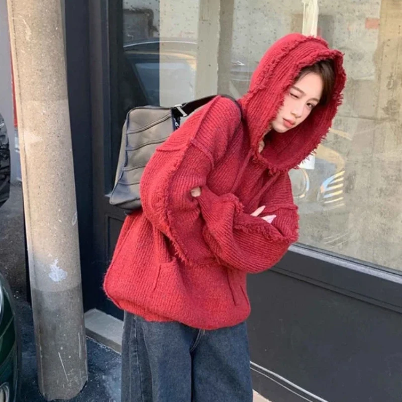 Autumn and Winter Thick Hoodie - Winter Clothing Essentials 评论和价格
