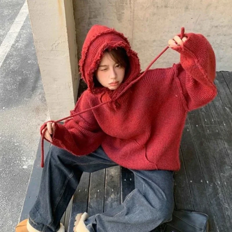 Autumn and Winter Thick Hoodie - Winter Clothing Essentials 评论和价格